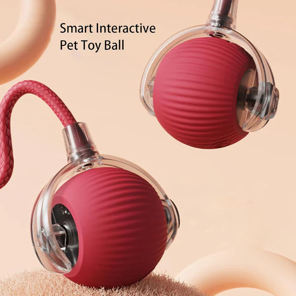 Interactive Play Ball With Tail