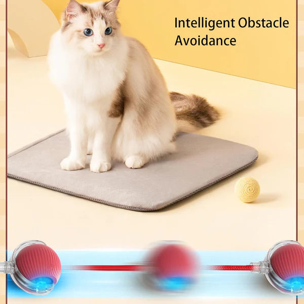 Interactive Play Ball With Tail