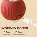 Interactive Play Ball With Tail