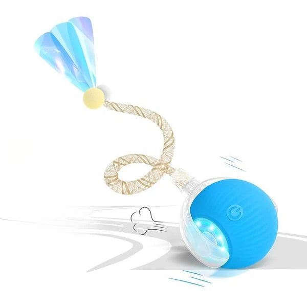 Interactive Play Ball With Tail